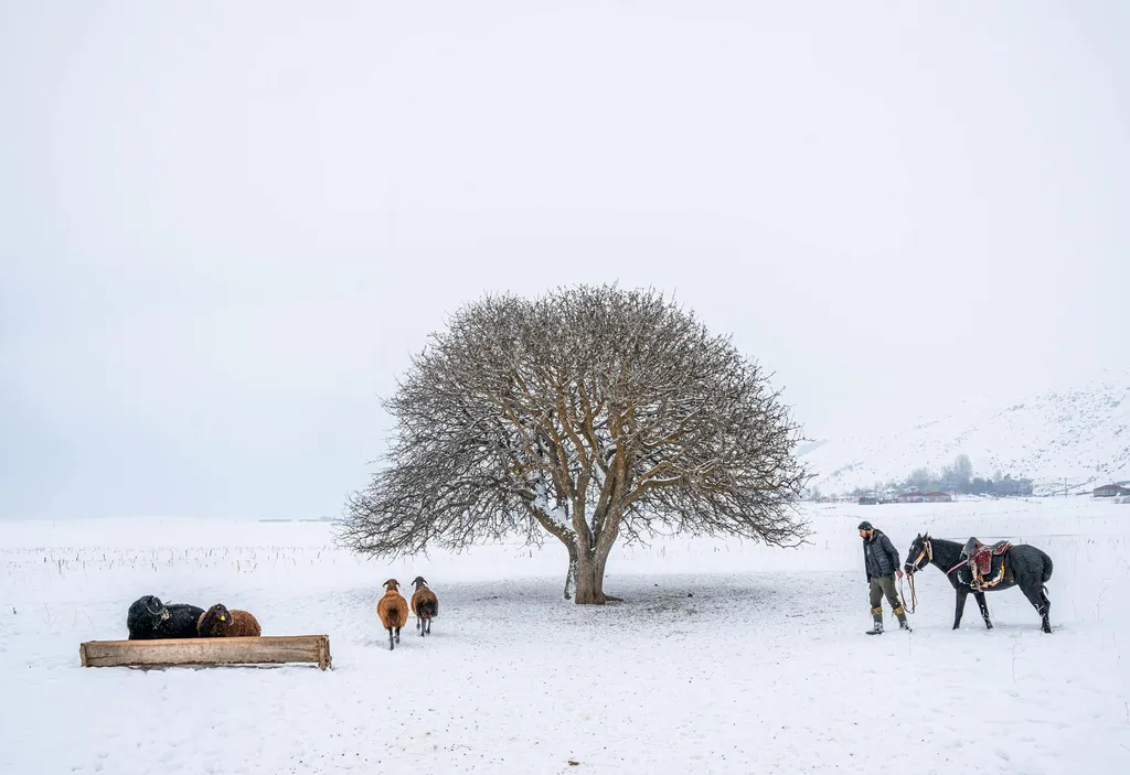 affiliation-de-documents-agricoles